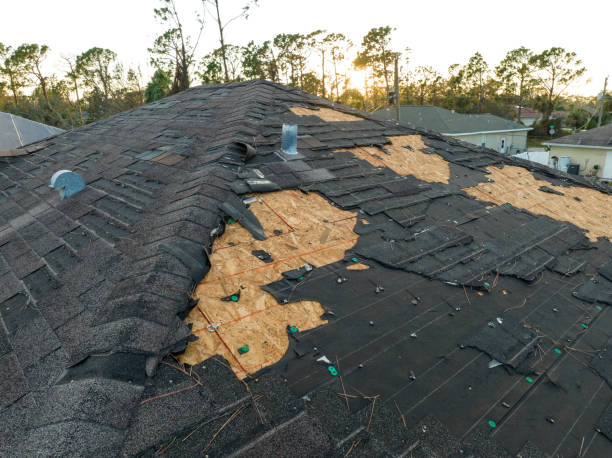 Best Roof Insulation Installation  in Onset, MA